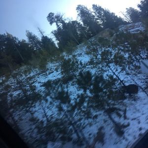 Meet your Posher, Evelyn